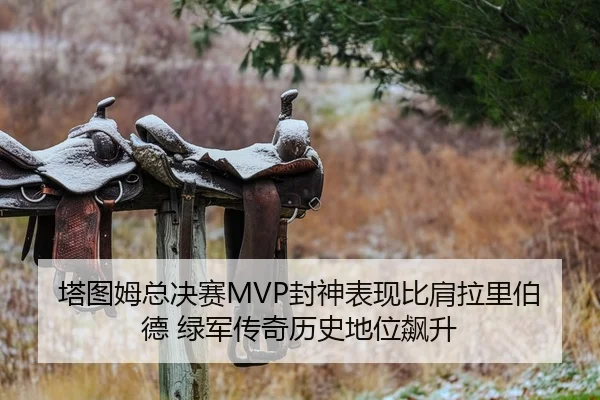 ta-tu-mu-zong-jue-sai-feng-shen-biao-xian-bi-jian-la-li-bo-de-lv-jun-chuan-qi-li-shi-di-wei-biao-sheng-2-549.jpg