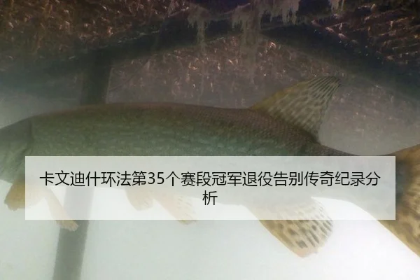 卡文迪什环法第35个赛段冠军退役告别传奇纪录分析